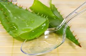 Aloe Vera arganic extract